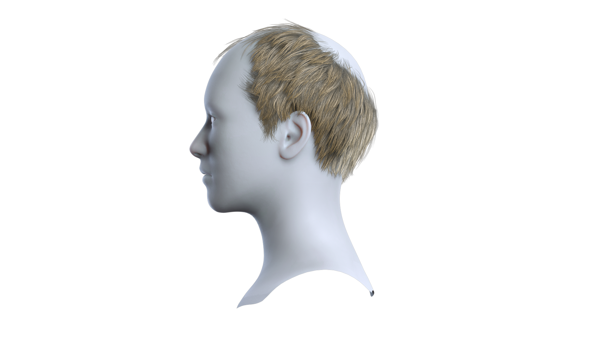 Pattern Hair Model ×