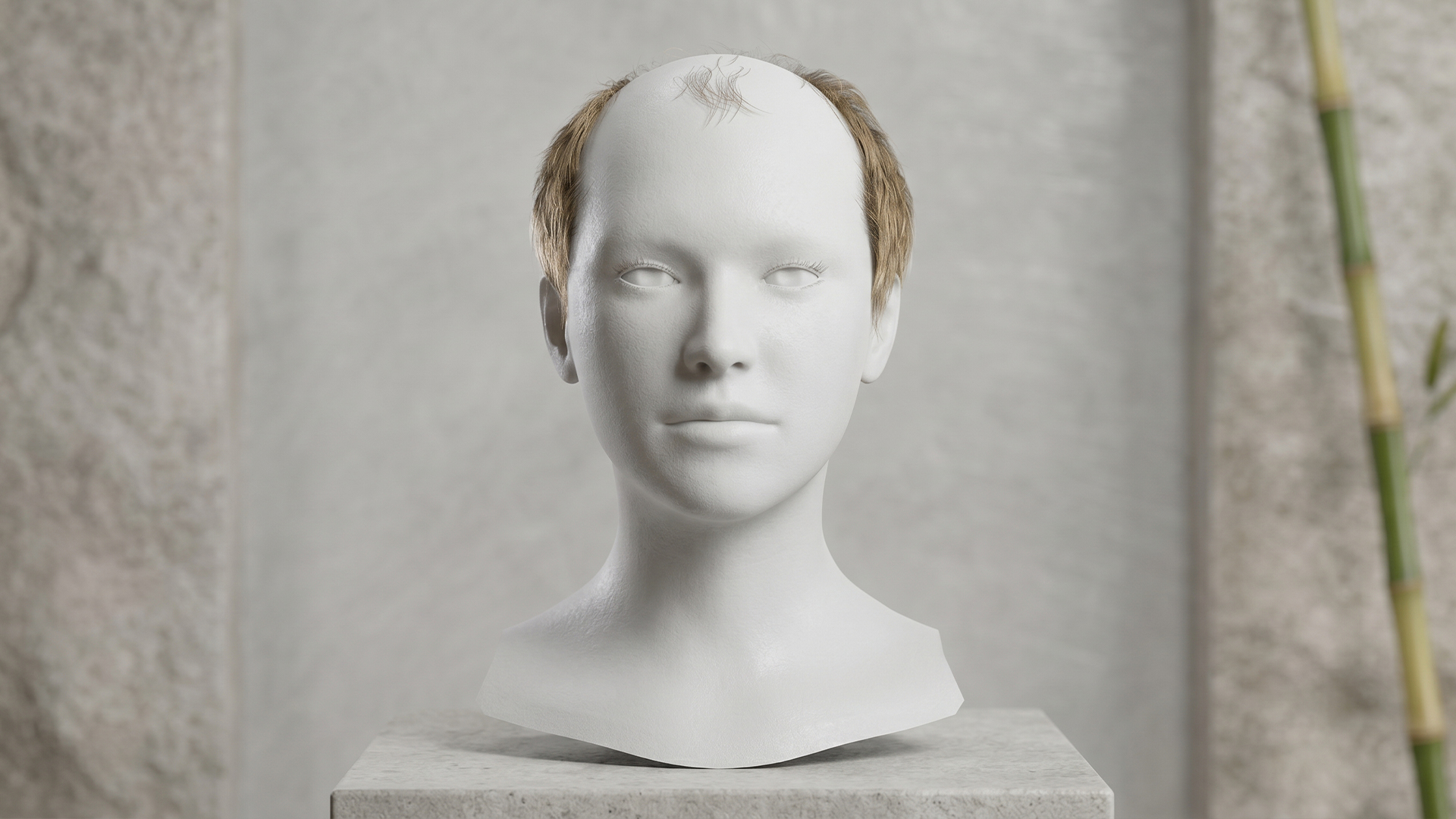 Pattern Hair Model Realistic Receding Hairline & Male Pattern Baldness hair