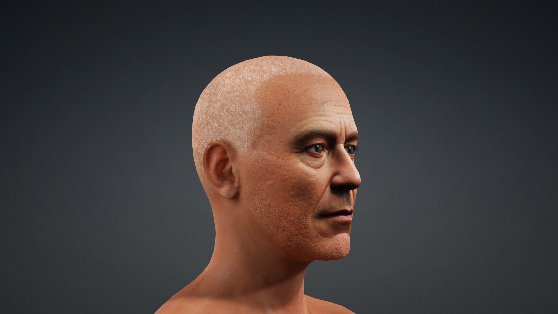Rust Character Models Bald 🎭 Character Kit 🧔👩 M003