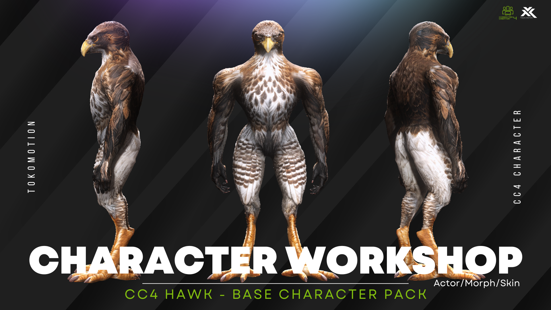 Hawk Ref Base CC4 CWS Hawk - Base Pack