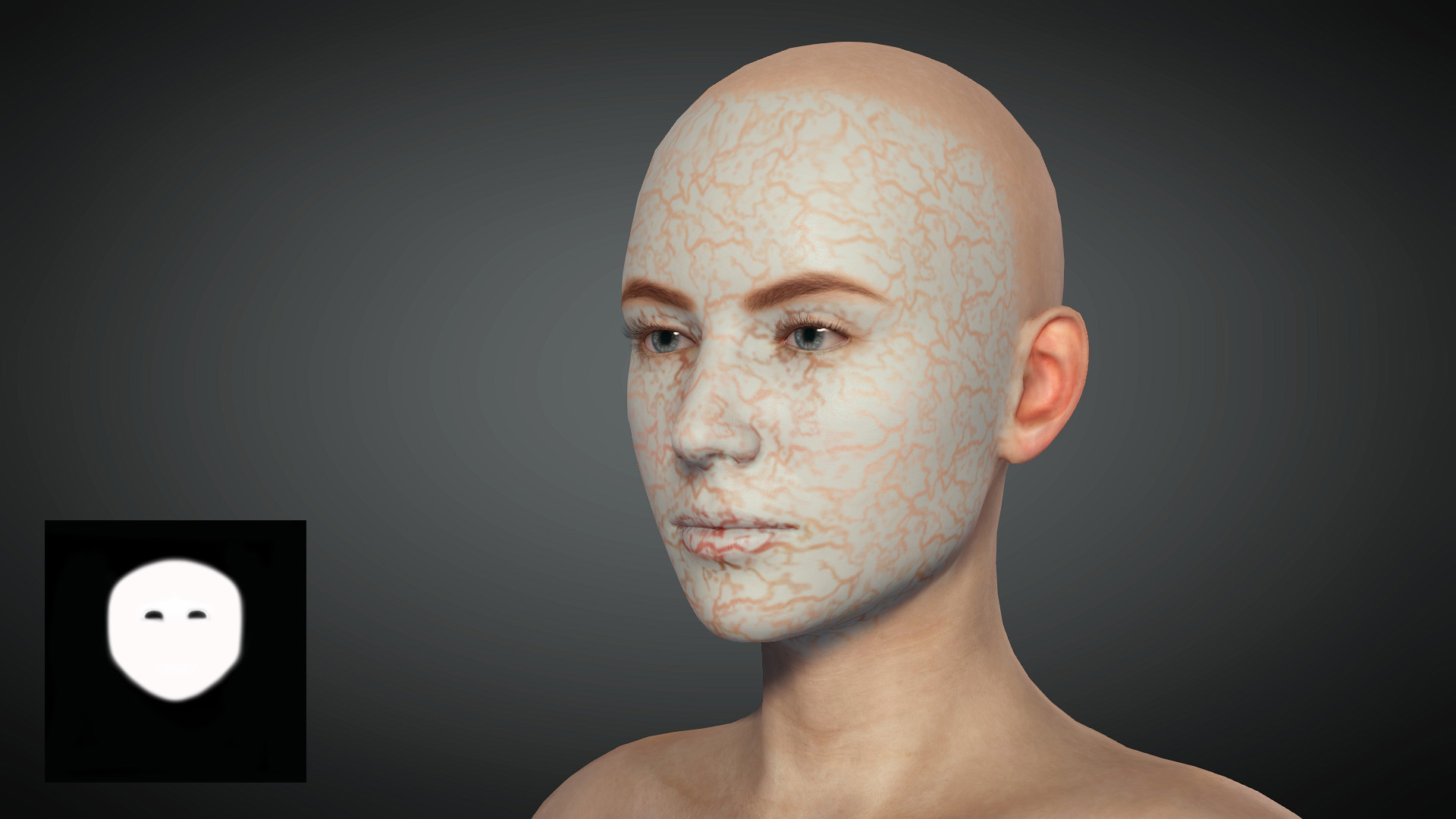 DMFX Face Mask Basic Set Pack 2