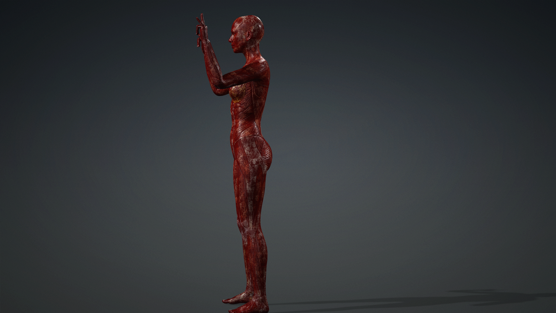 Flayed Female Skin