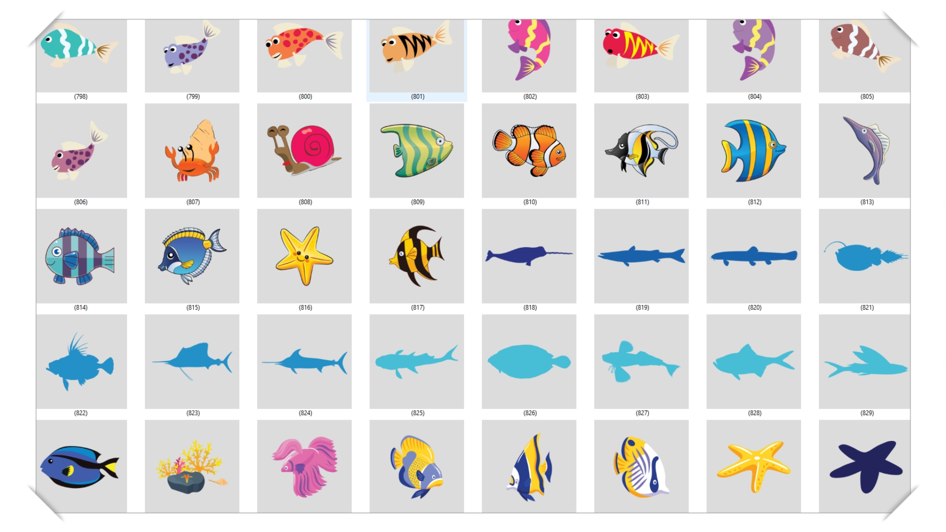 FISH PACK - 2