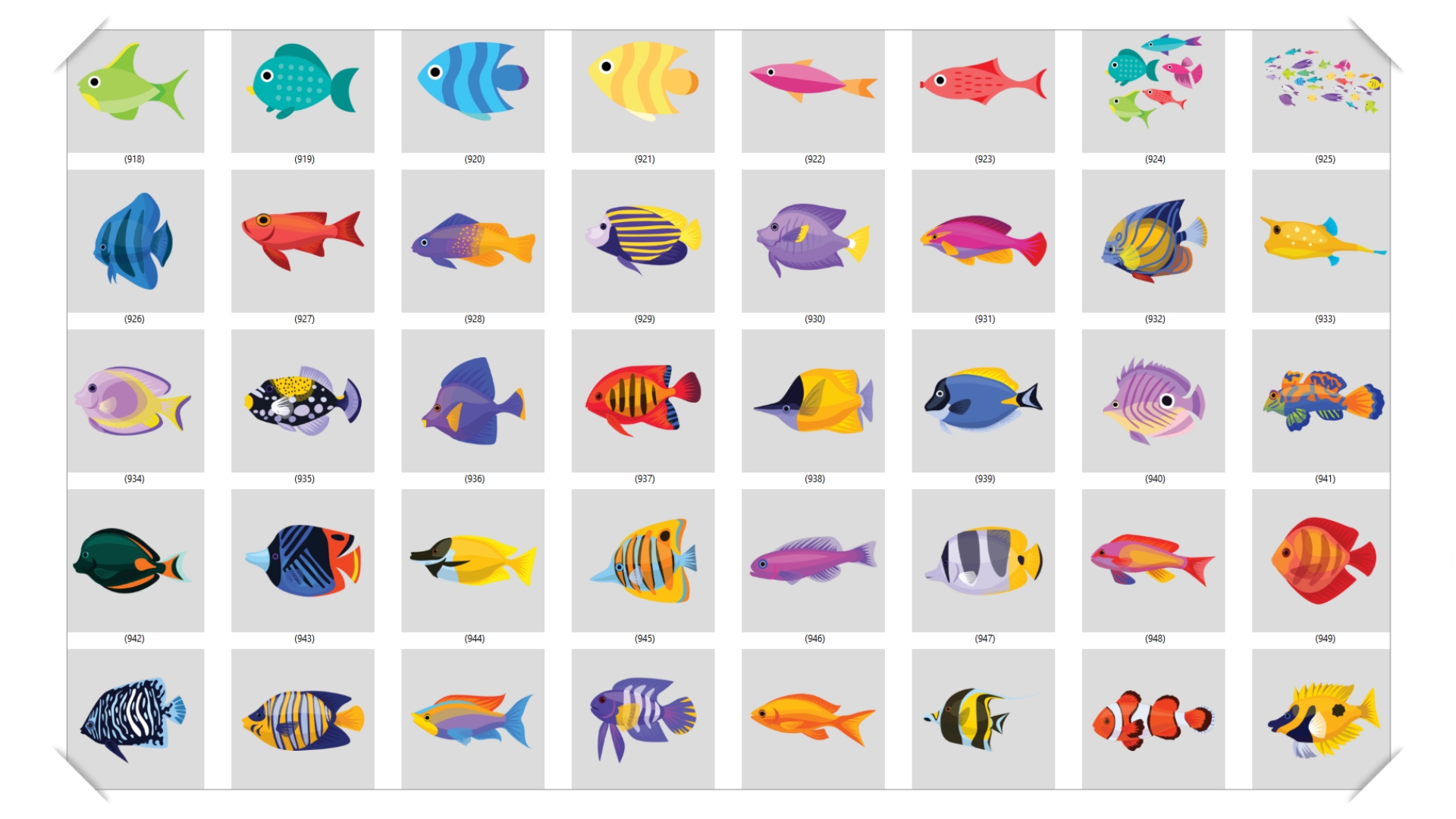 FISH PACK - 2