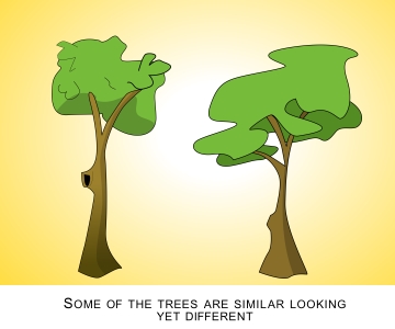 Trees Collection