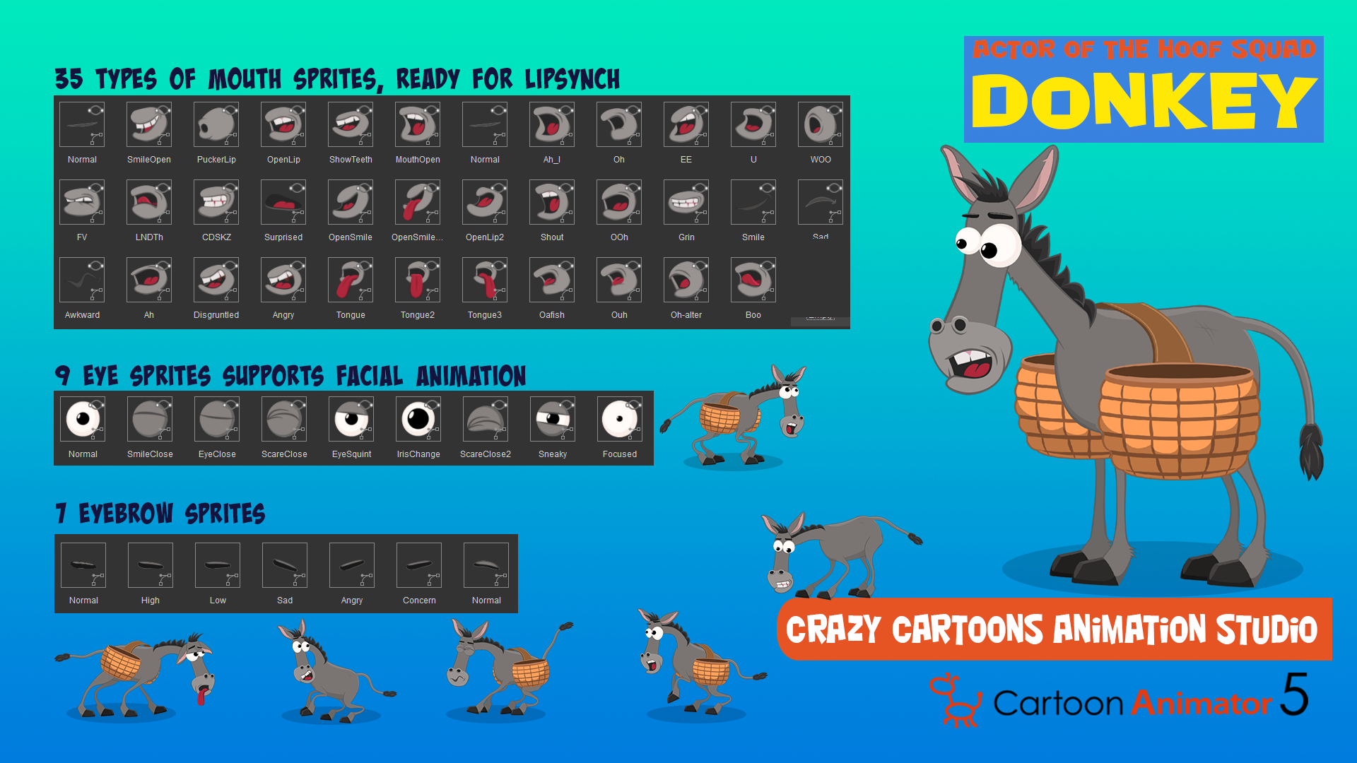 Gui Donkey Share