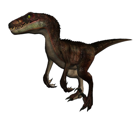 Raptor