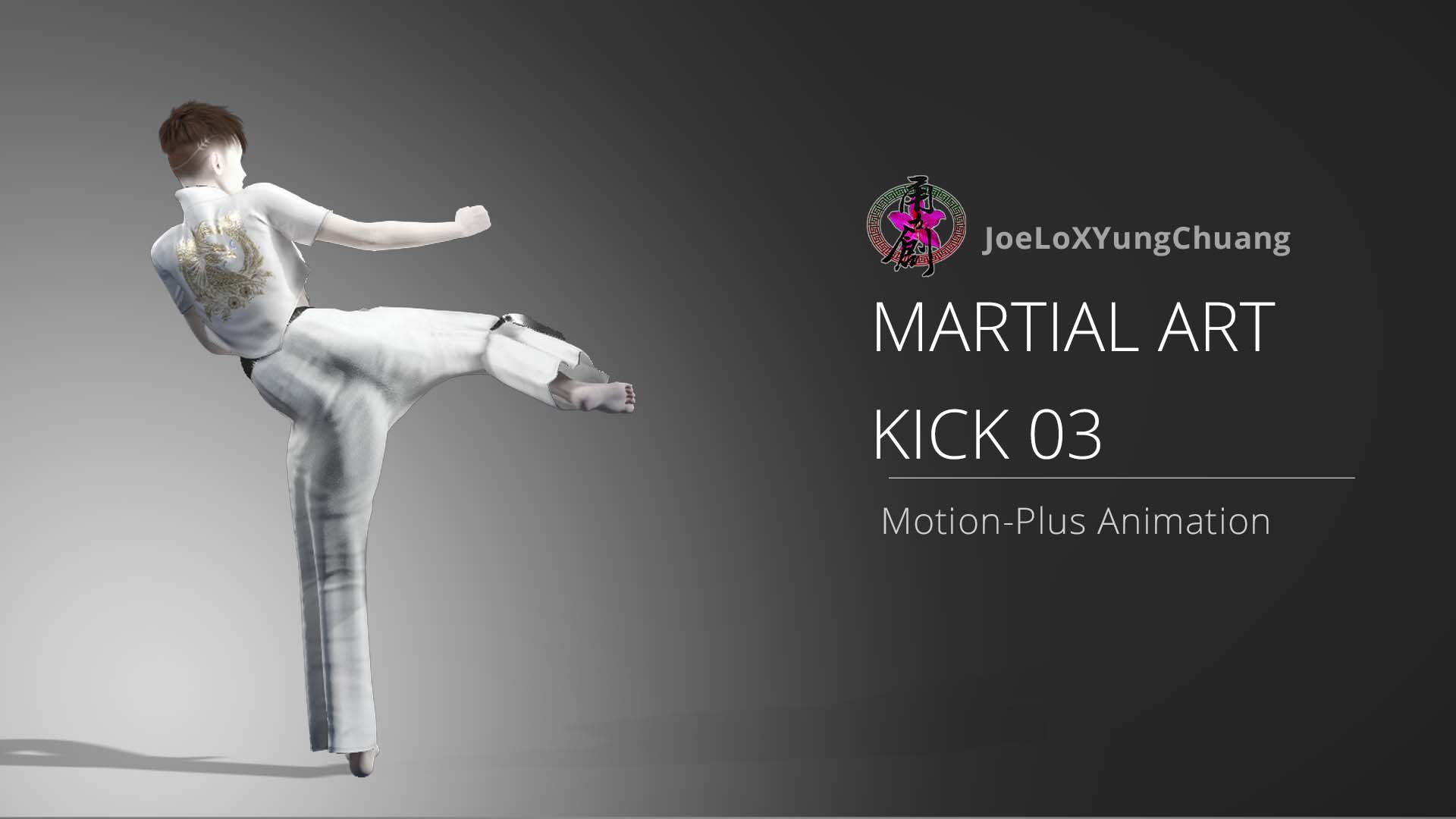 Kick Animation03
