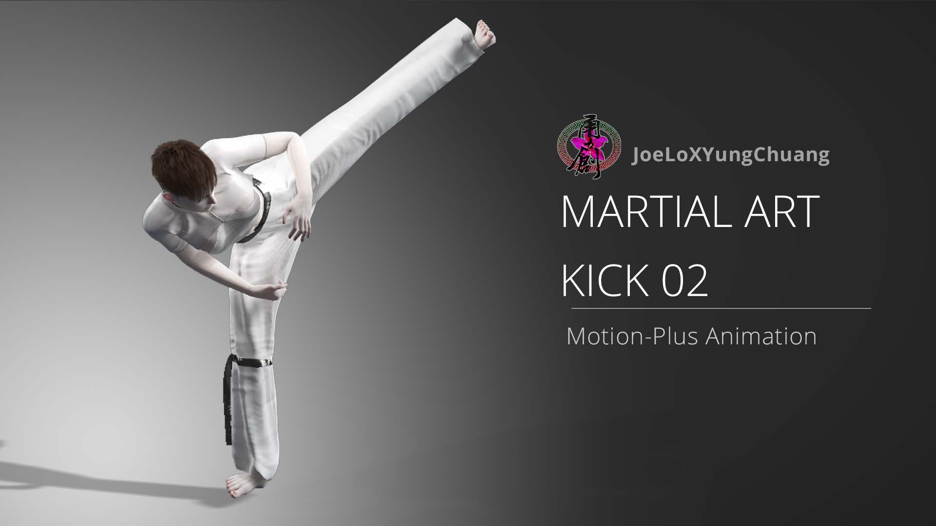 Kick Animation02